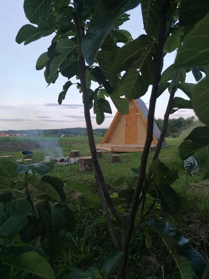 Studio Apartman Zorkovac Apartment Ozalj Bagian luar foto