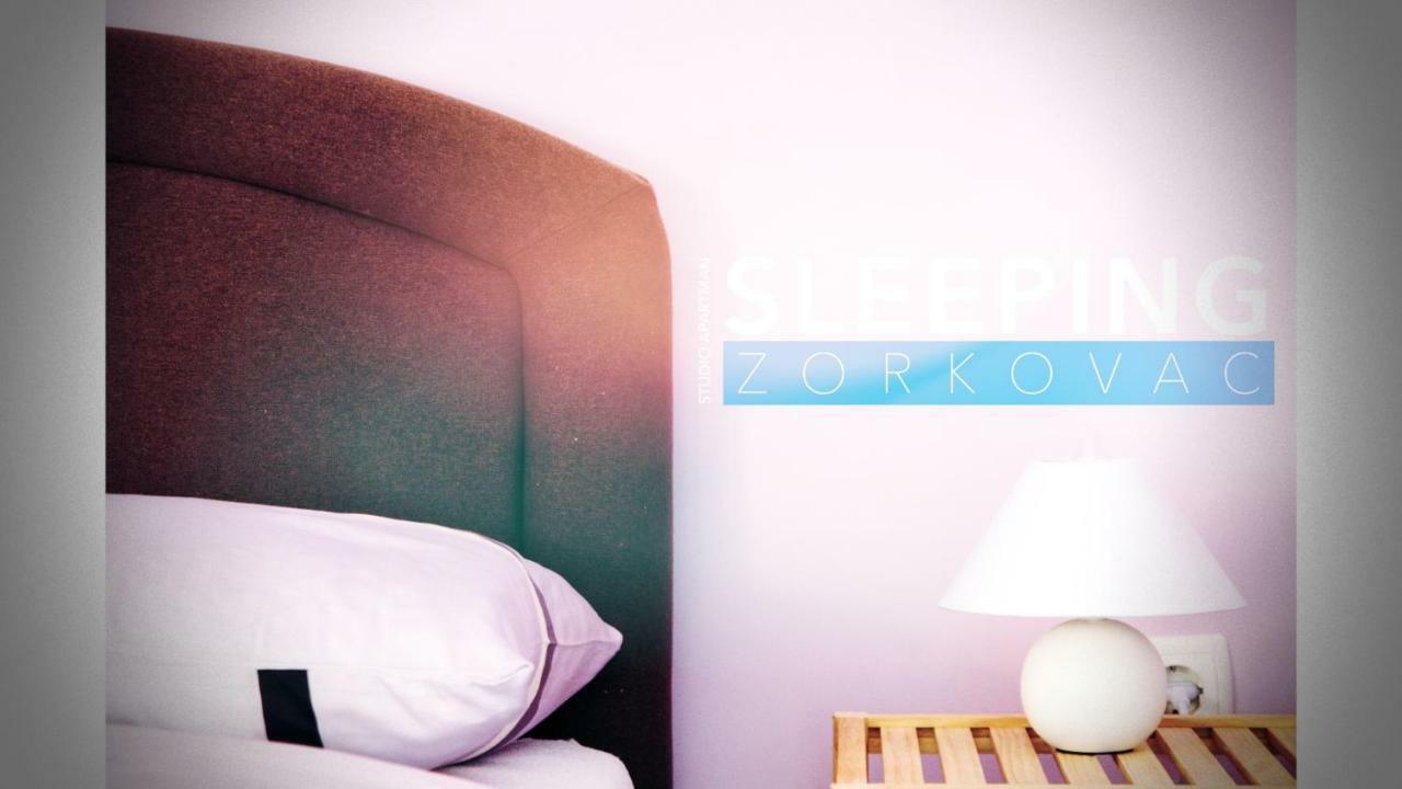 Studio Apartman Zorkovac Apartment Ozalj Bagian luar foto